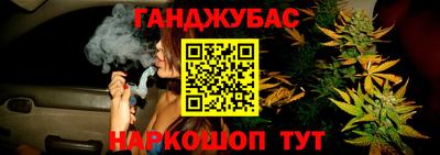 крисы Ливны