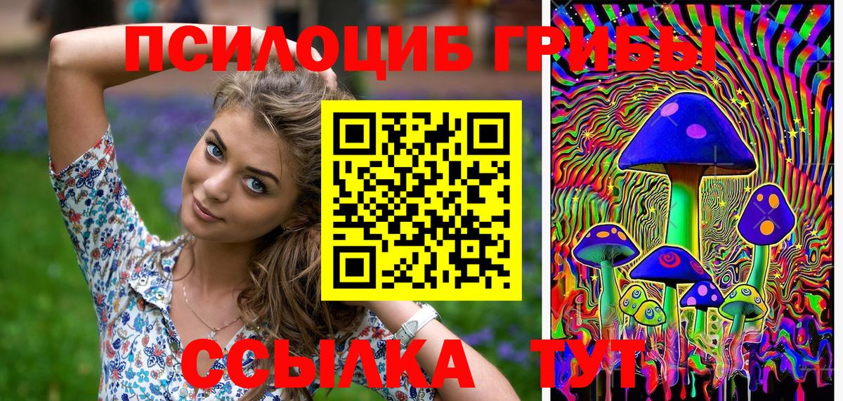 Галлюциногенные грибы GOLDEN TEACHER Балтийск