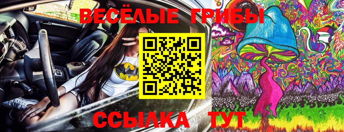 цена   Вход с VPN  Балтийск  Галлюциногенные грибы Psilocybe 